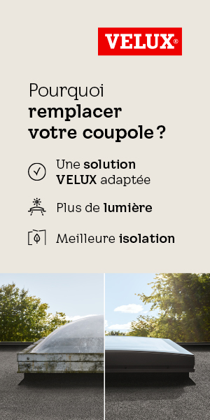 0726_VELUX_banner_coupole_300x600_BEFR#1