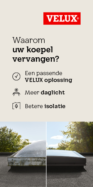 0726_VELUX_banner_koepel_300x600_BENL#1