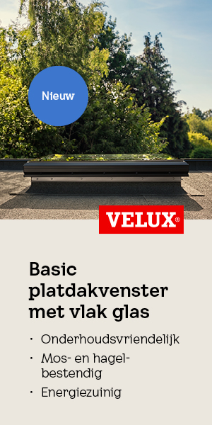 0726_VELUX_banner_ISG_300x600_BENL#1
